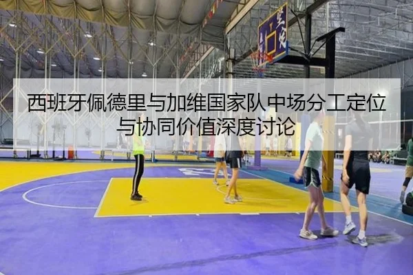 西班牙佩德里与加维国家队中场分工定位与协同价值深度讨论